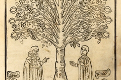 L’arbre de la science, Raymond Lulle, 13ème siècle - wikimédia commons, domaine public