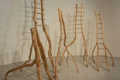 A compagny of ladders, David Nash, 2013 - SL2013