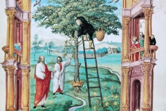 L’arbre philosophal, la Toison d’or, Salomon Trismosin, 18ème siècle - wikimédia commons, domaine public