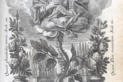 Rosa Mystica, image pieuse, Frères Klauber, 1781 - wikimedia commons, domaine public