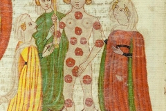 Vénus, Anon, Codex Pal. Lat. I066, Bibliotheca Apostolica Vaticana, 15ème siècle - domaine public