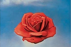Rose méditative, Salvador Dali,1958 - SL