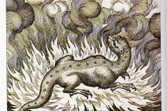 Michael Maier, Atalante Fugitive : salamandre, 17ème siècle.