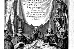 Traité La fabrique du corps André Vésale, 1543 - SL 2024, domaine public