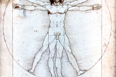 L’homme de Vitruve, Léonard de Vinci, 1519	SL2024, domaine public