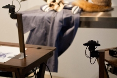 La grande vanité au corbeau et au renard, Patrick Tresset, 2004_2017