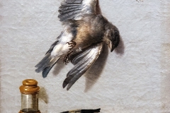 Nature morte avec 2 oiseaux morts, une souris et 3 insectes, Oudry, 1712- domaine public  