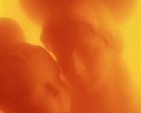 Andres Serrano,Vierge à l'enfant, immersions 1989 (détail) - wikkipedia commons - fair use