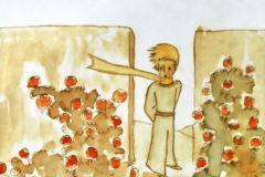 Le jardin des 5000 roses, Le Petit Prince, Saint Exupéry, 1942 - SL2022