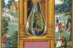 Salomon Trismosin, Splendor solis, la phase du paon, 17ème siècle - domaine public