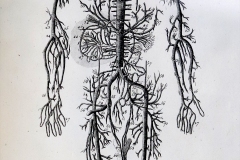 Encyclopédie Diderot d’Alembert, 1762 - SL2022