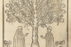 Raymond Lulle, l'arbre de la science, 16ème siècle - wikimedia commons, domaine public