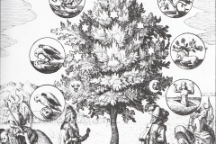 Johann Daniel Mylius, Philosophia reformata, 17ème siècle : l'arbre de la philosophie