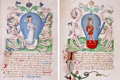 Rosa Alba et Rosa Rubea, Donum Dei, 15ème siècle - domaine public