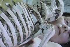Marina Abramovic, nu avec squelette, 2005- musée des beaux arts de Nantes - SL