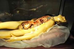 La Venerina, la Rocaille, Museo Palazzo Poggi, 18ème siècle, Wikimedia commons, Museo Palazzo Poggi, CC BY SA 2.0