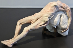 Berlinde de Bruyckere, romeu, 2010 -SL2 021