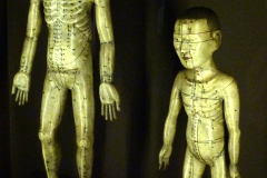 Mannequins d’acuponcture, Chine, 18ème siècle - SL2023