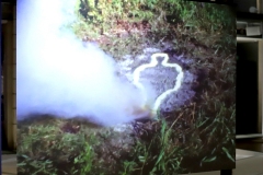 Siletua series, Ana Mendieta, 1978  - SL2024