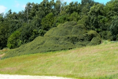 Robert Smithson, montagne spirale, 1971 - wikimedia commons, domaine public