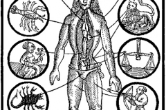 Homme zodiaque, Mondino de Luzzi ,1513