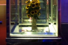 Marc Quinn – eternal spring sunflowers II, 1998 - Anders Sandberg, Oxford, UK CC BY 2.0