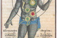 Homme zodiacal, Theosopha Practica, Johann Georg Gichtel, 1696 - domaine public, SL